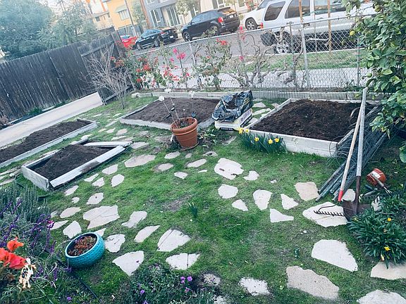 Front yard garden boxes, herbs, fruit trees etc.