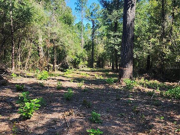 5th image of MARCUS DRIVE LOT 8-12