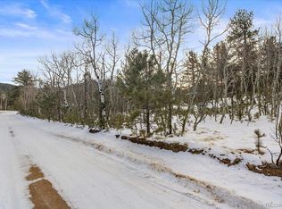 22 Hupp Rd, Bailey, CO 80421