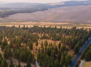 11204 S Jackson Rd, Mica, WA 99023