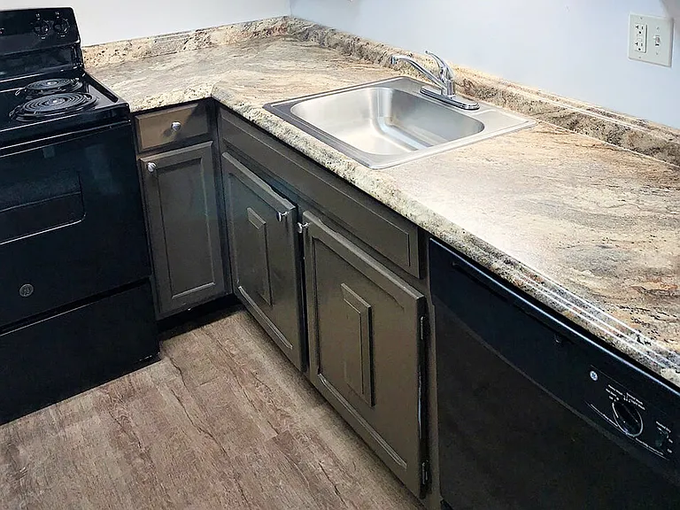 Dishwasher and Large Sink