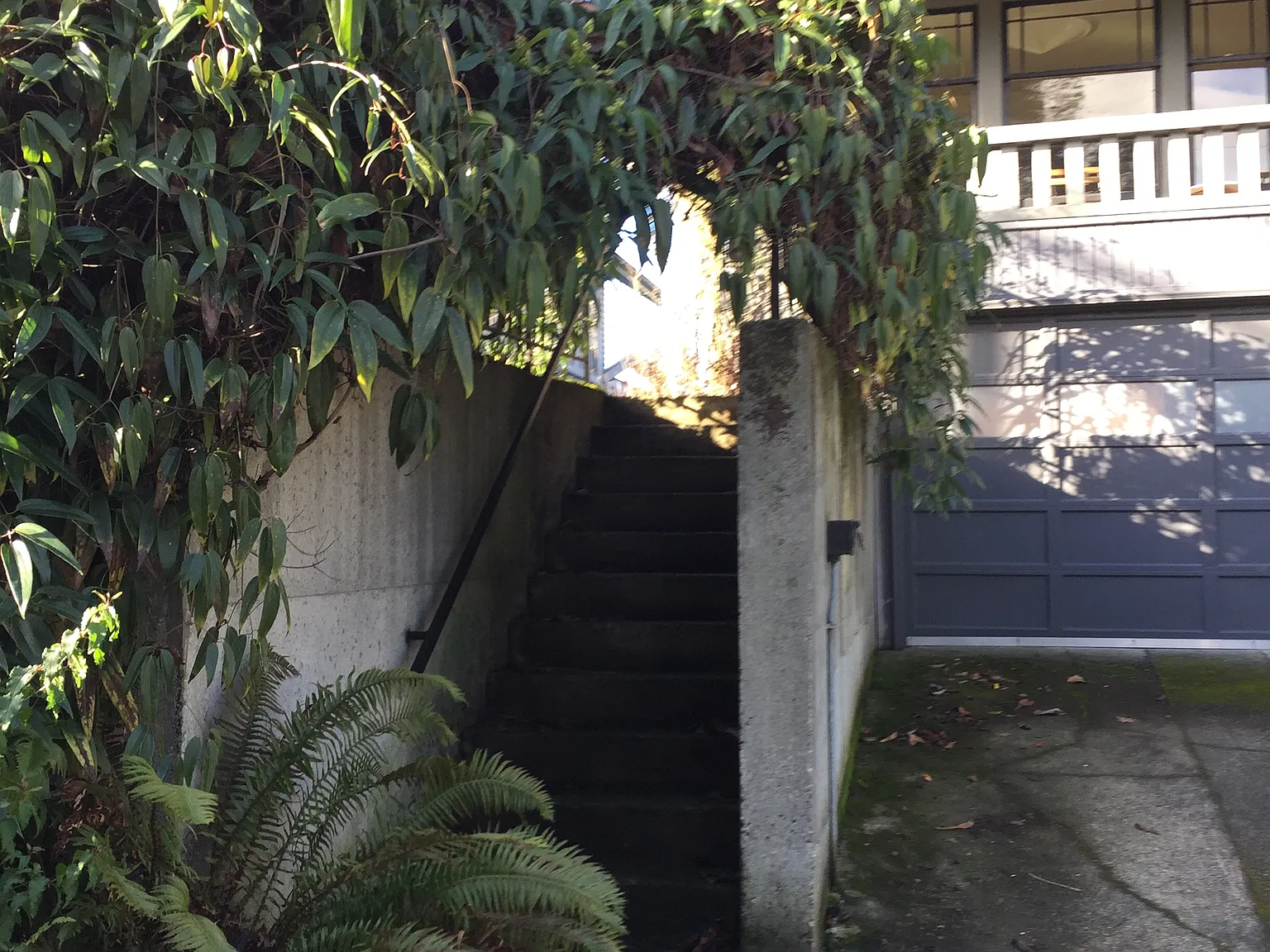 1 bed, 450 sqft, $1,550 — Photo 3