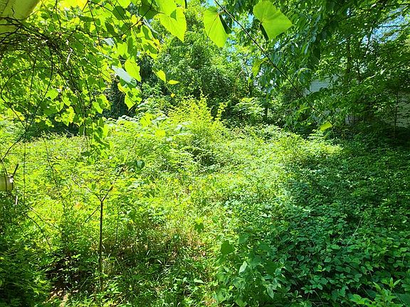 4th image of 52 Tuckasegee Hill Top Ln
