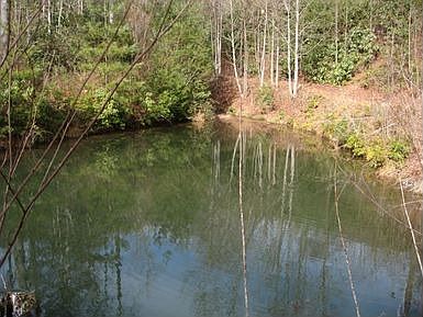 Pond on Property