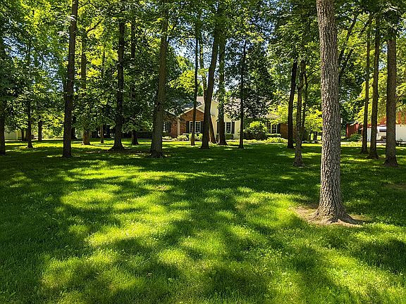 Wooded front yard