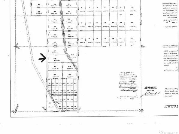 3677 Larkin Rd, Grayland, WA 98547