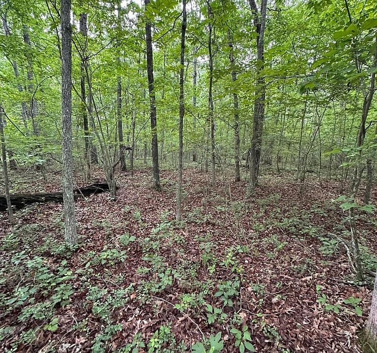 1st image of 935 Veho Cir