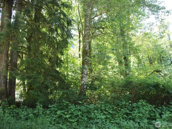0 South Shore Drive, Mount Vernon, WA 98274