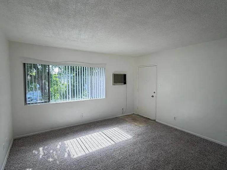 Ramona — Photo 13