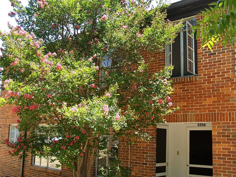 3206 Tom Green St #G — Photo 10