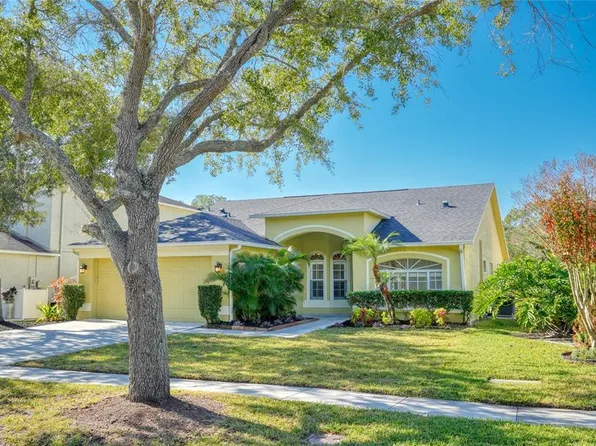 15404 SIR MAXWELL COURT, ODESSA, FL 33556