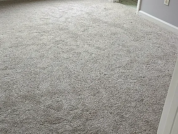 8918 Little Hampton Pl — Photo 3