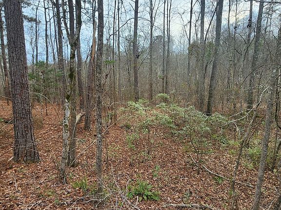 5th image of 0 Monument Rd