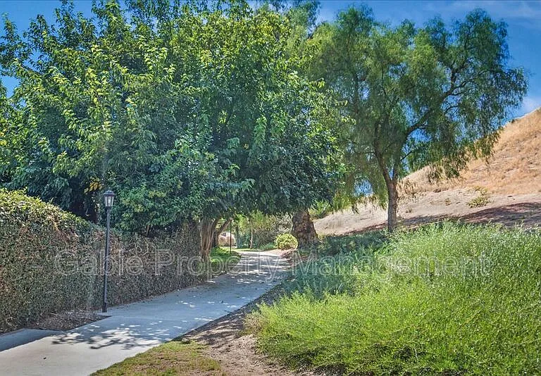 25867 Blanca Way — Photo 19