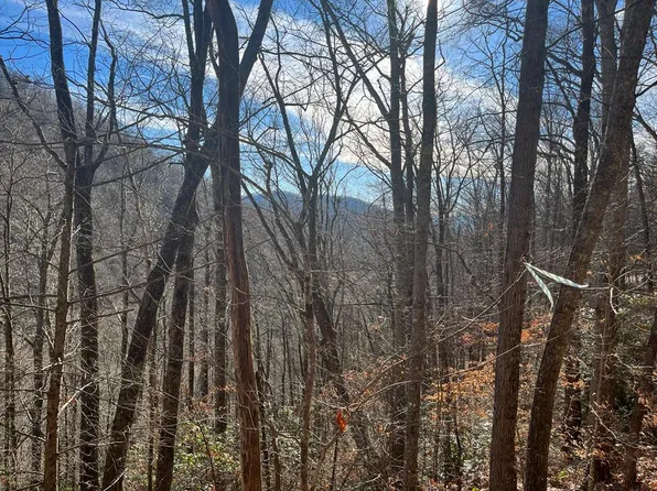 14 N Fork Rd, Sylva, NC 28779