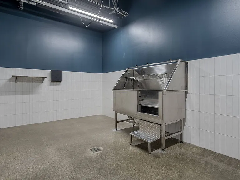 Pet Washing Station