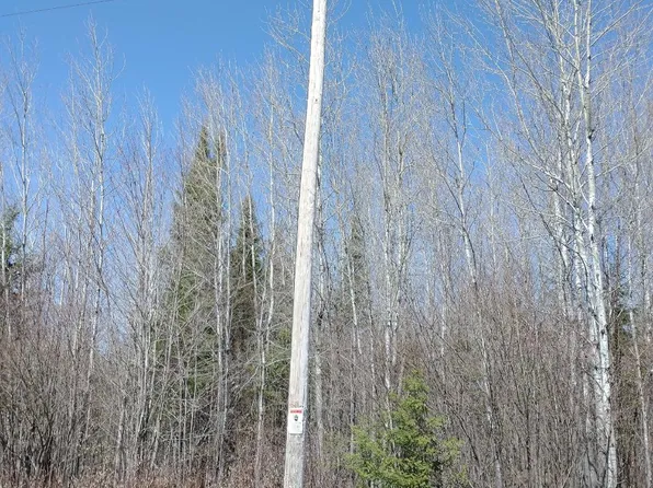 Thunder Stick Rd #366.37-A, Glidden, WI 54527