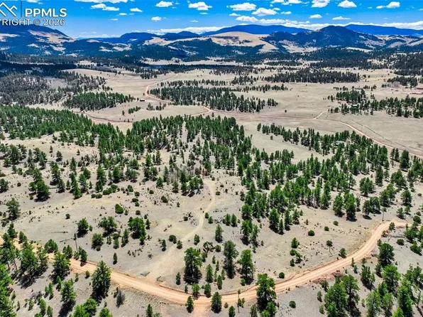 422 Buck Dr, Guffey, CO 80820
