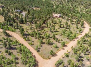 1474 Tapadero Rd, Bailey, CO 80421