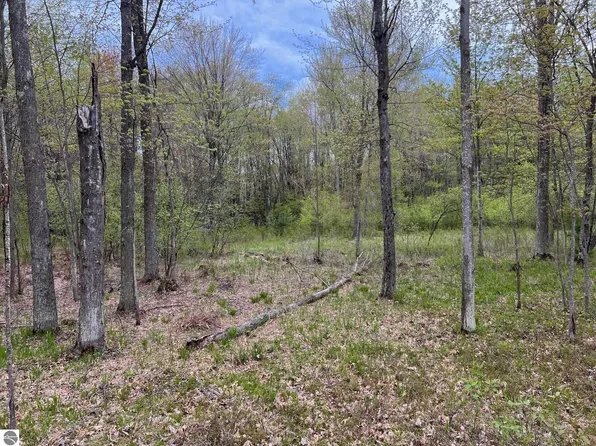 Vl E Stoney Corners Rd, Falmouth, MI 49632