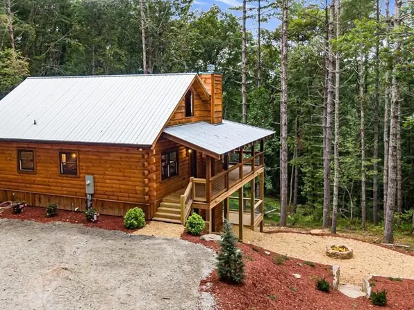 110 Pigeon Creek Dr, Blue Ridge, GA 30513