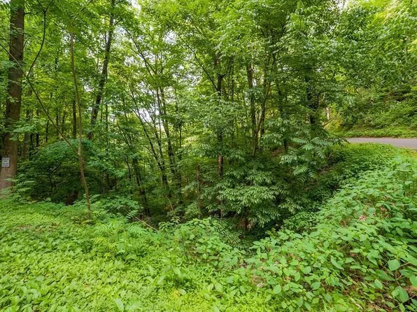 LOT 10 Buena Vista Dr, Sevierville, TN 37876