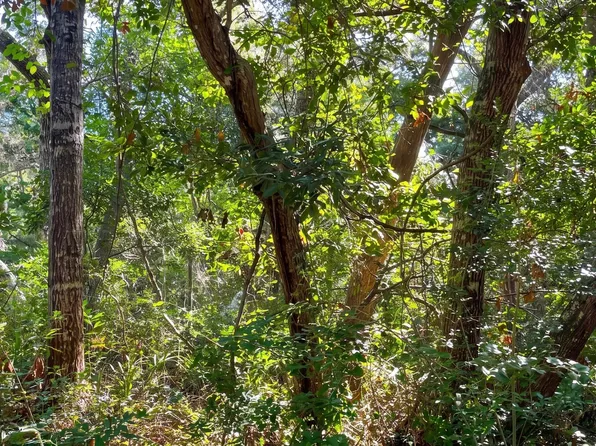 51 Fort Holmes Trl Lot 711, Bald Head Island, NC 28461