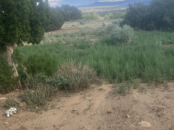 3rd image of 17161 County Road 71.1 Pkwy