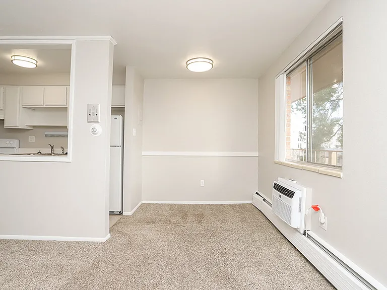 2335 S Race St — Photo 21