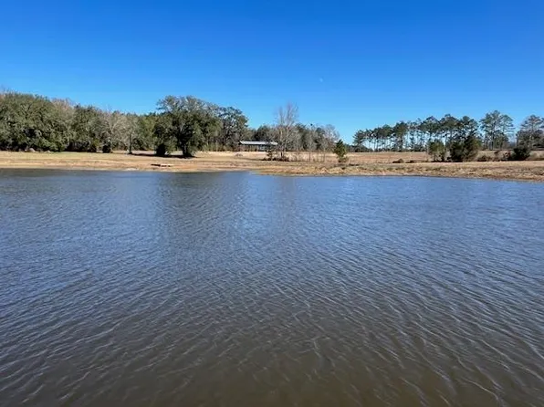 Cravey Bridge Rd, Florala, AL 36442