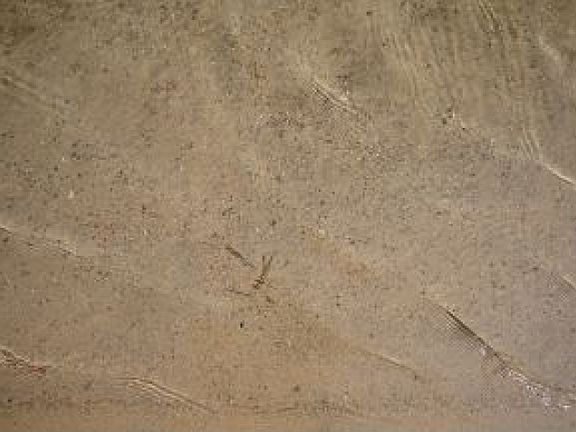 3rd image of Wildwood Lake Cir Lot 20