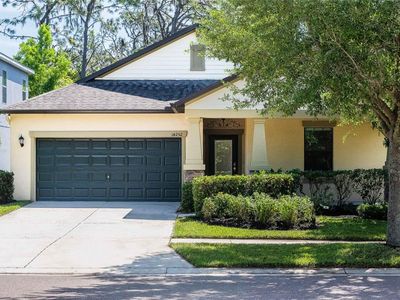 14252 Blue Dasher Dr, Riverview, FL, 33569