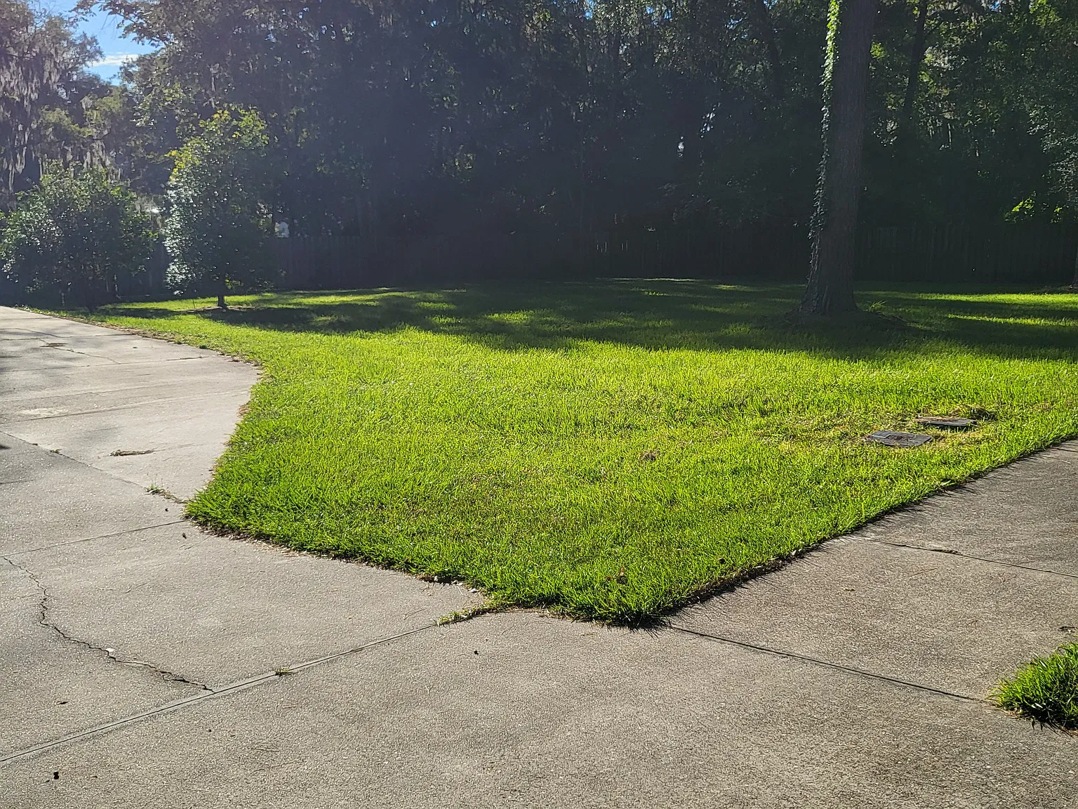 3 bed, 1421 sqft, $1,950 — Photo 2