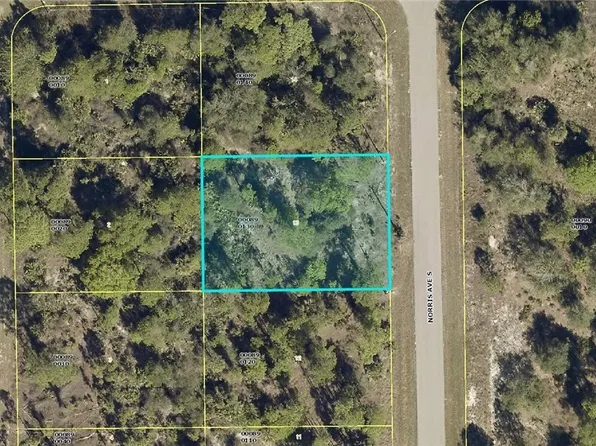 232 Norris Ave S, Lehigh Acres, FL 33974