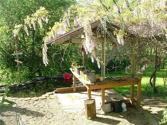 Koi pond near Tiki Bar