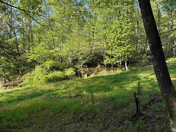 38th image of 2494 Seng Run Rd