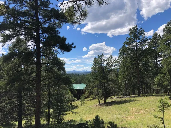 26 N Eldorado Circle LOT L133 - Filing 3, Florissant, CO 80816