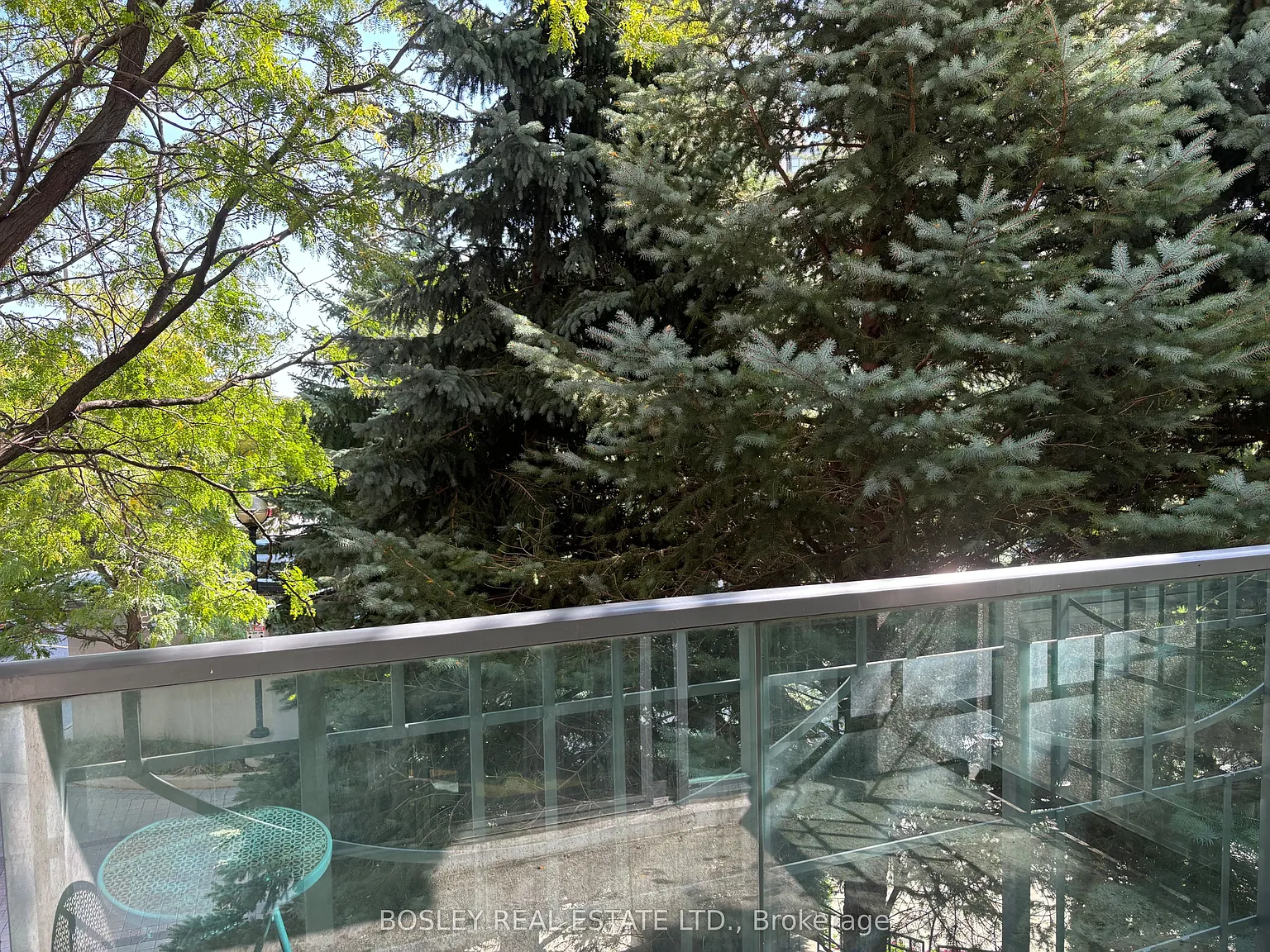 3 bed, $3,395 — Photo 2