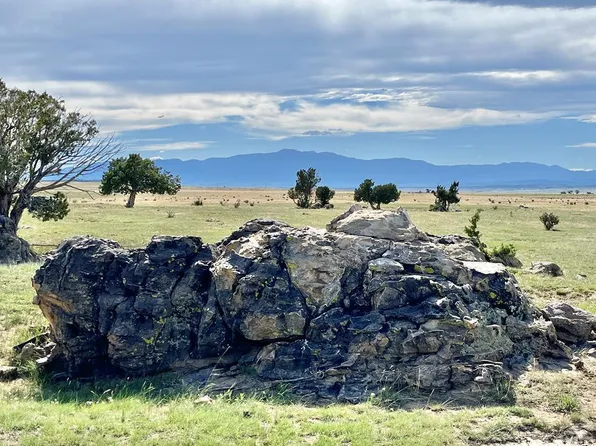 LOT 102 Vista View Rd, Walsenburg, CO 81089