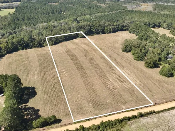 C Powell Rd, Samson, AL 36477