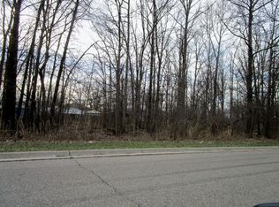 Vacant Lange Ave, Romulus, MI 48174