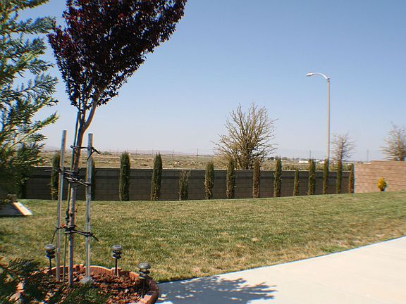 Back Yard-over 5000 ft.sq.