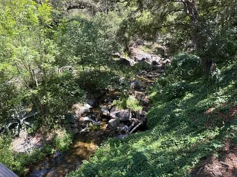 Creek view from balcony