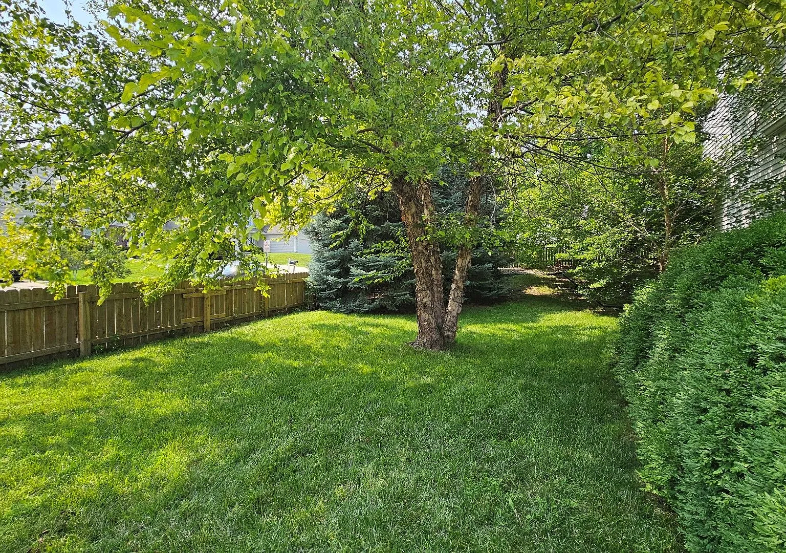 Home For Rent Bellevue. — Photo 3