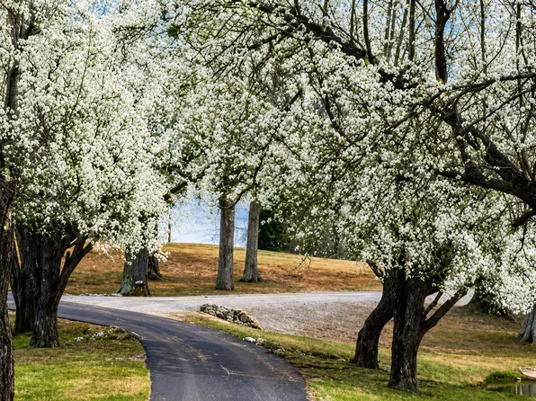 (undisclosed Address), Lakeland, TN 38002