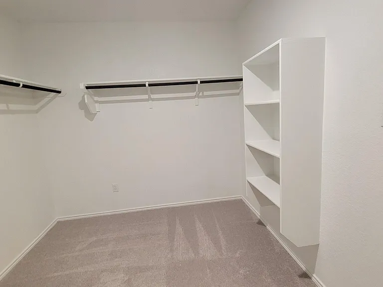509 Black Alder St — Photo 5