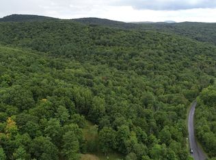 L42111 New Forge Rd, Elizaville, NY 12523