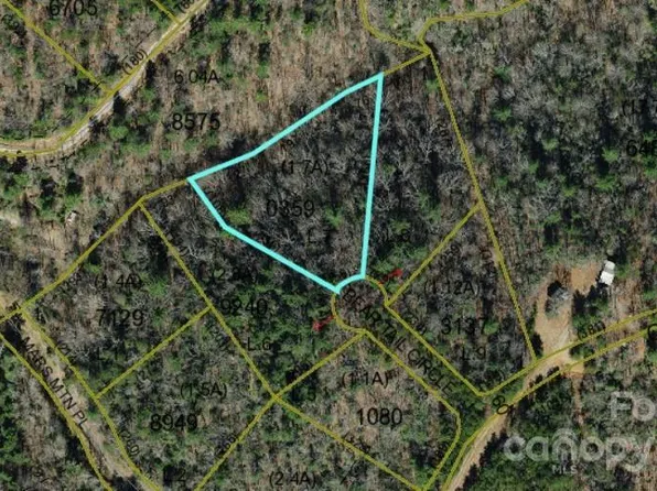 Bear Tail Cir, Boomer, NC 28606