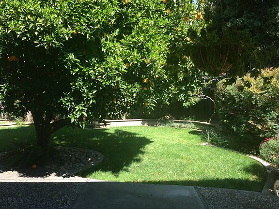 3rd image of 2336 Ben Hur Ct