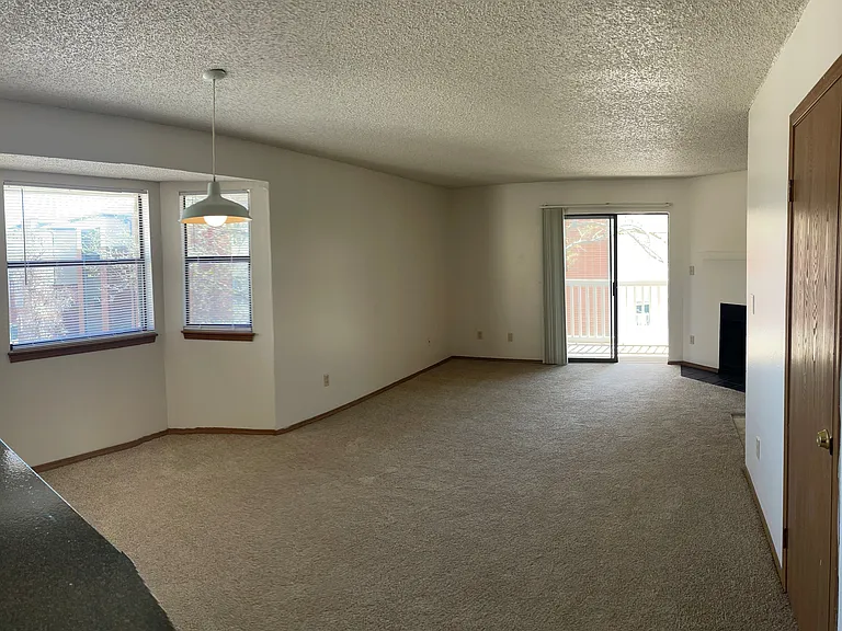 Living/dining room
